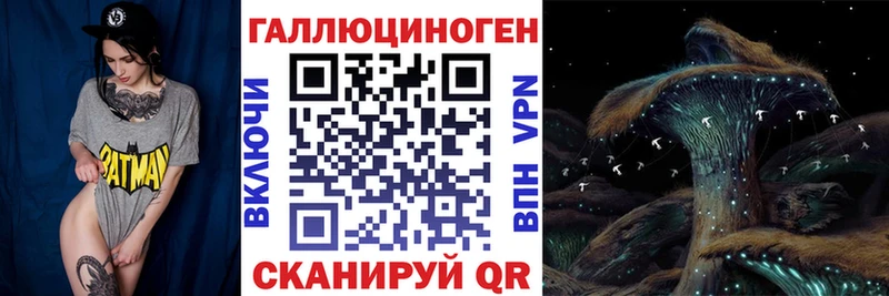 Псилоцибиновые грибы GOLDEN TEACHER  продажа наркотиков  Магнитогорск 